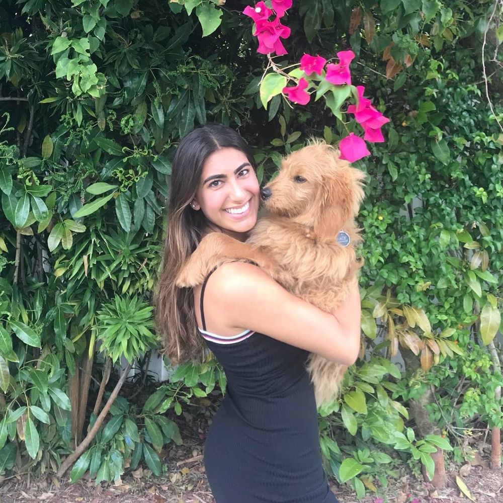 Meet your Posher, Lital